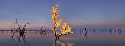 Blaze #9, Lake Pamamaroo, Menindee