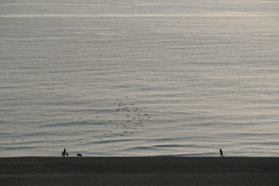 Overlook, 15-2383, Brighton