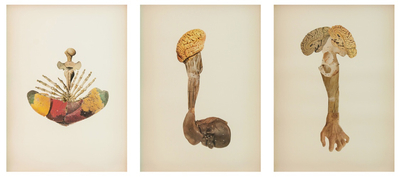 rodolpho parigi, atlas (detail), 2013 / 2014