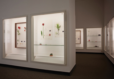 alberto baraya, expedición berlin, 2014