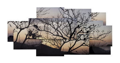 marcos chaves, prego, 2011