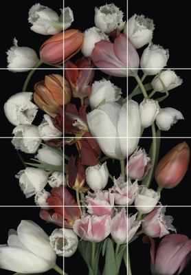 luzia simons, stockage 82, 2011