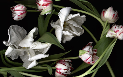 luzia simons, stockage 57, 2008