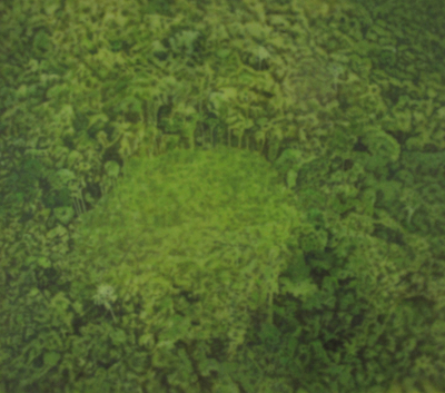 melanie smith, fordlandia i, 2013 / 2014