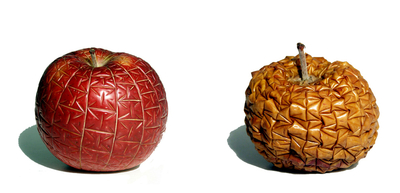 marco maggi, micro and soft on macintosh apple, 1999