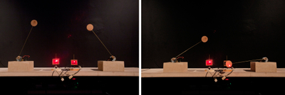 o grivo, máquina de luz, 2013