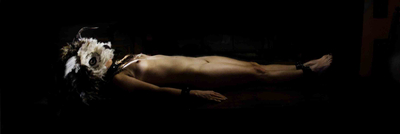 virginia de medeiros, auto-retrato - jardim das torturas, 2013