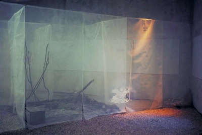 hélio oiticica, rhodislândia, 1971