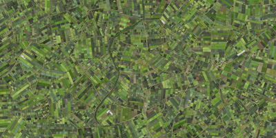 cássio vasconcellos, Verde, da série Coletivos, 2012