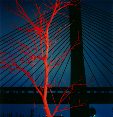 cássio vasconcellos, Marginal do Pinheiros #19, from the series Noturnos São Paulo, 2000