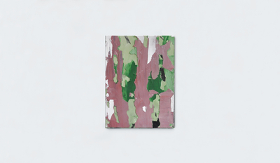 manoela medeiros, Ruína