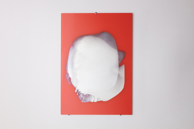 Jenny Nordberg 3 to 5 Seconds Mirror