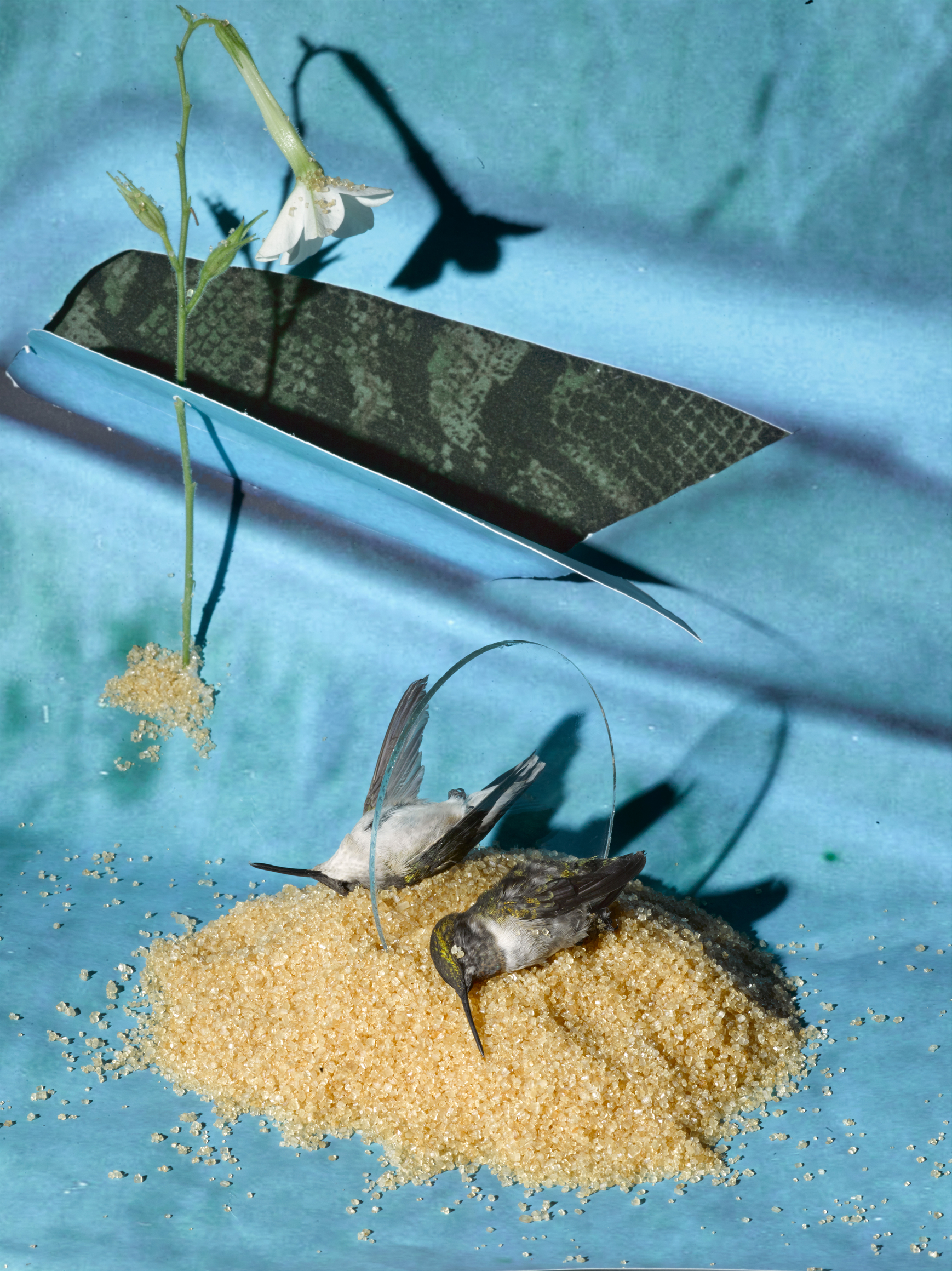 Sheida Soleimani,&nbsp;Egress, 2024.&nbsp;Archival pigment print,&nbsp;24 x 18 inchess.