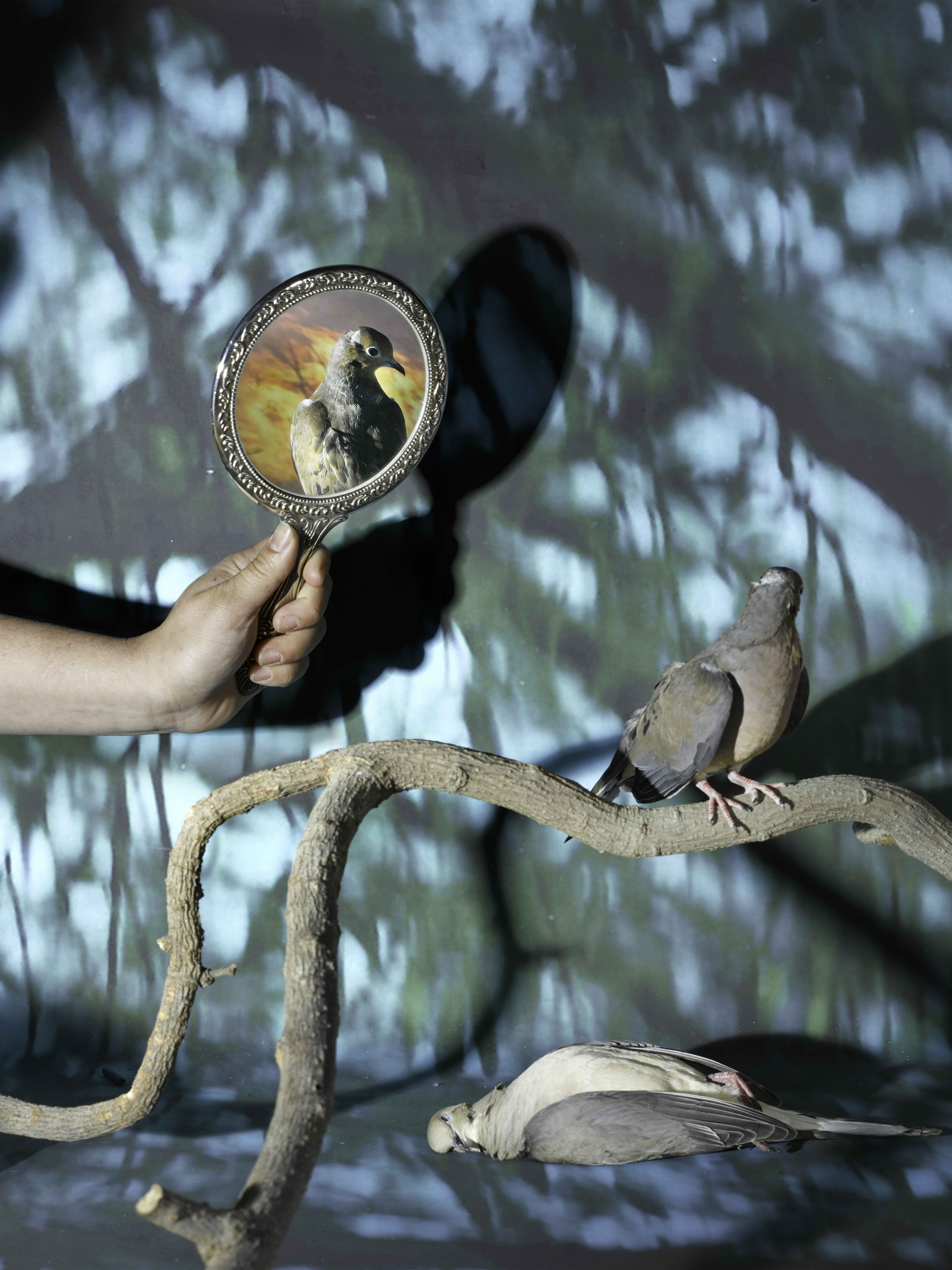 Sheida Soleimani,&nbsp;Afterimage, 2025. Archival pigment print, 40 x 30 inches.