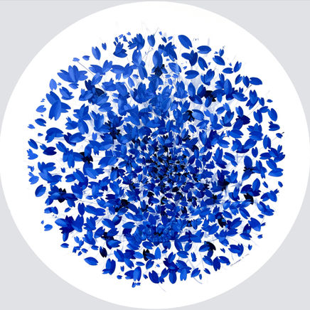 Movimiento Espiritual, 2022