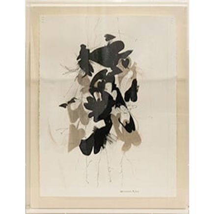 Soñador de Paisajes, 2025