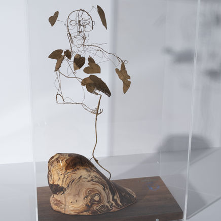 Hidden in Nature, 2025