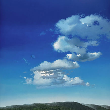 The Lost Landscape (Series II), 2024