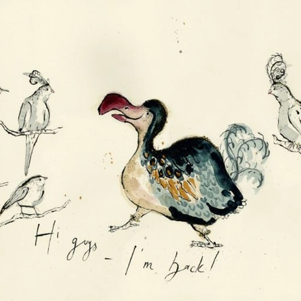 Anna Wright - Hi guys I'm back