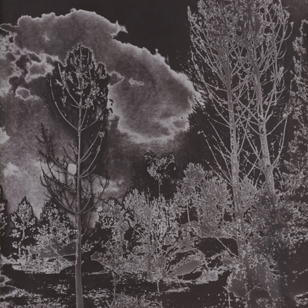 Marcel Bovis - Solarised Landscape (1), C.1930