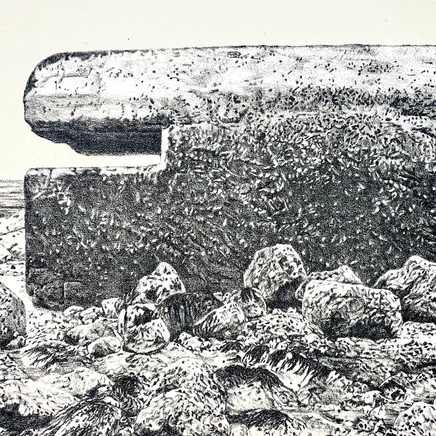 Ariane Fruit, MARRÉE BASSE # 1, 2025