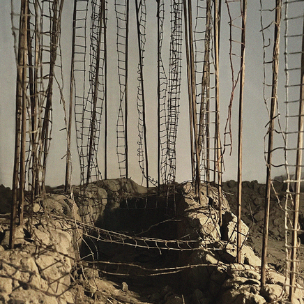 Édith Dufaux, Tranchée aux échelles, 2022