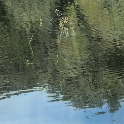 Farhad Ostovani, REFLET DANS L’EAU - 17, 2022