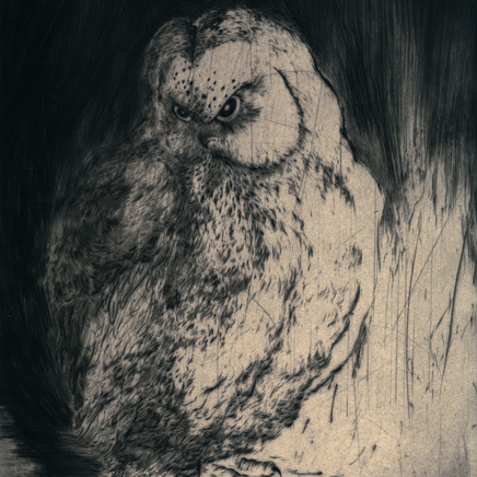 Marjan Seyedin, Hibou en pied 7, 2016