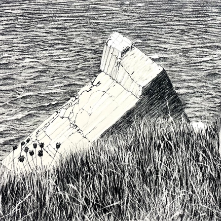 Ariane Fruit, MARRÉE HAUTE, 2026