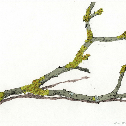 Delphine D. Garcia, 15.I.14, 2014