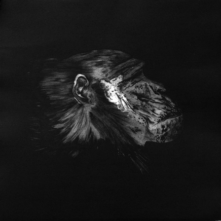 Marjan Seyedin, Tête singe, 2006