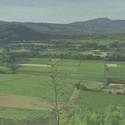 Jean-Michel Bacquet, Les Plainons, matin d'été, temps dégagé, 2007-2008