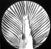 Jacques Muron, La Porte, 1984