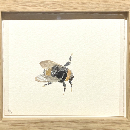 Delphine D. Garcia, 6.VIII.18 I, 2018