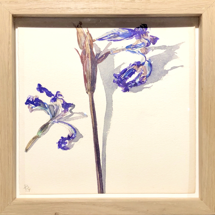 Delphine D. Garcia, 4.VI.20, 2020