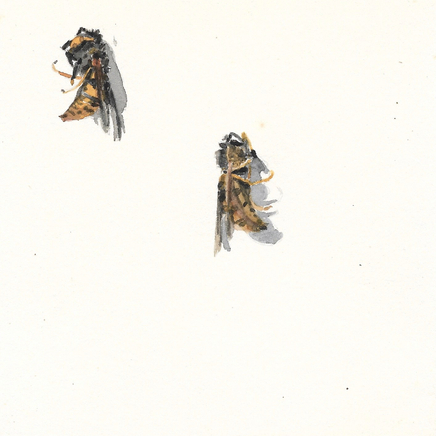 Delphine D. Garcia, 6.IV.20, 2020