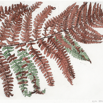 Delphine D. Garcia, 4.II.15, 2015