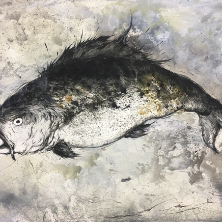 Marjan Seyedin, Poisson 1, 2016-2018