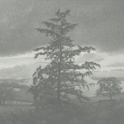 Jean-Michel Bacquet, Le Cèdre à Lagarde, 2017