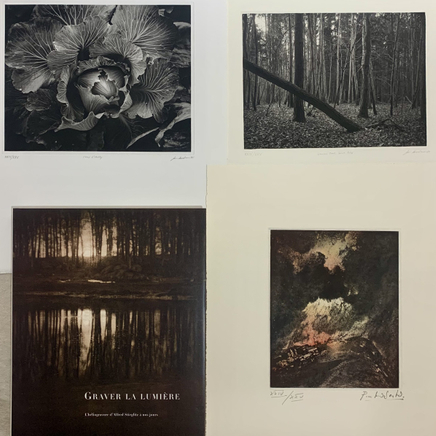 Jon Goodman, Chou d'Hadley // Leaning Tree // L'incendie du Chateau de La Sarraz, 1985 - 2002