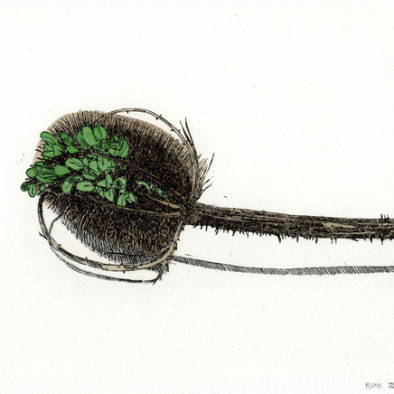 Delphine D. Garcia, 11.XI.13, 2013