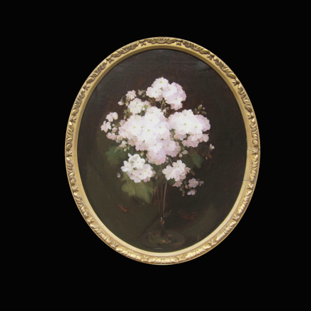 James Stuart Park - Primulas