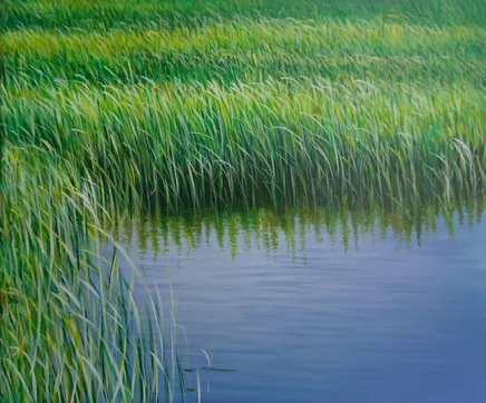 Manuel Cancel, Everglades X, 2011