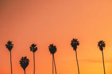 Will Nichols, Family First, 2019