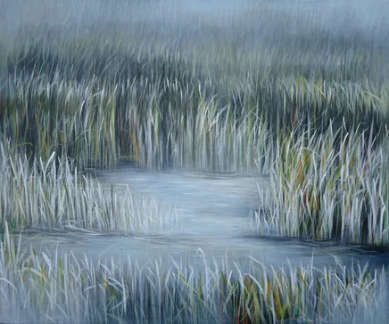 Manuel Cancel, Everglades, 2011