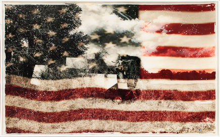 Raphael Mazzucco, Flag, 2013