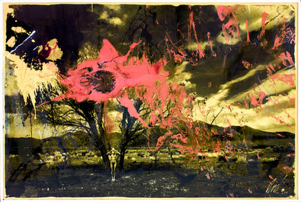 Raphael Mazzucco, Taos, 2013