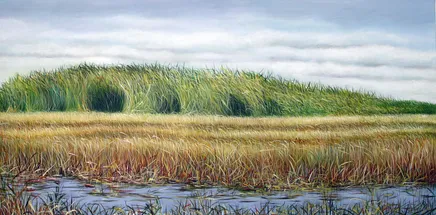 Manuel Cancel, Everglades I