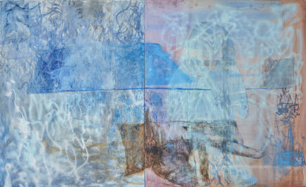 Viktorie Langer, How well do you know dolphines?, 2017