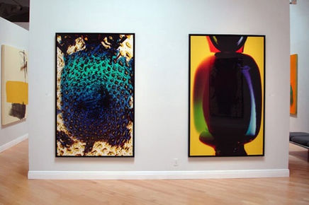 Installation view of Bill Beckley's "Oscar" and "Rhett" Cibachrome photographs